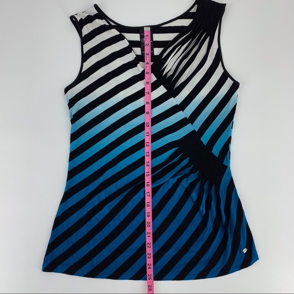 Point Zero Nicole Benisti Striped Ombre Sleeveless Top with Ruching, Large - Picture 15 of 16